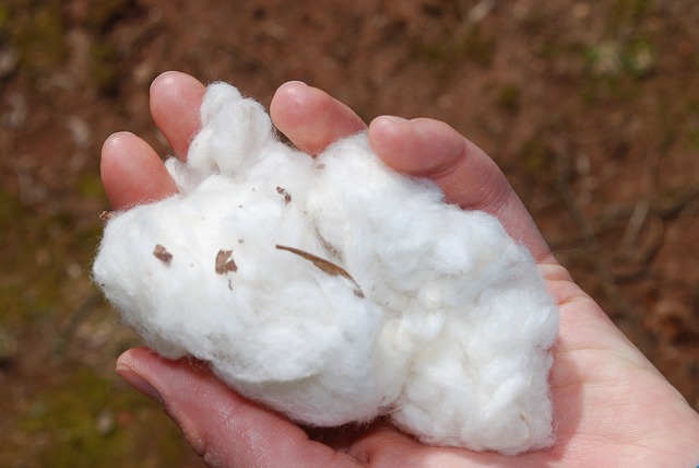 Is all Hanna Andersson Organic?-Hand holding white cotton.